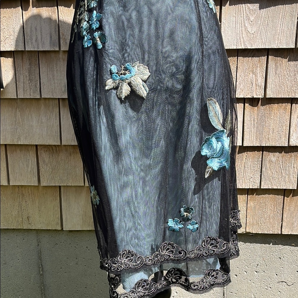 NWT Adriana Papell lace embroidered net sheer dress- gown- Size 10 - Picture 10 of 17